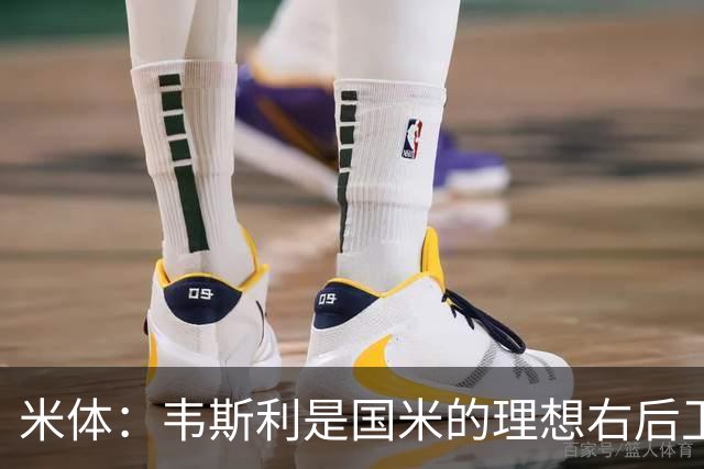 米体：韦斯利是国米的理想右后卫，弗鲁米嫩塞的古加被推荐给国米