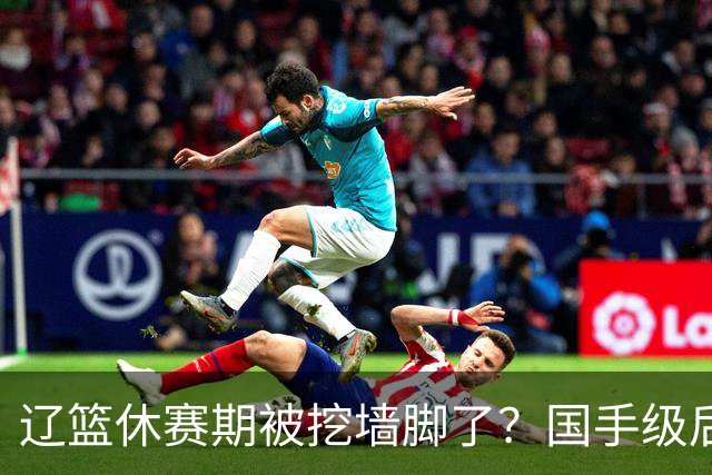 辽篮休赛期被挖墙脚了？国手级后卫恐被交易：变相逼着赵继伟走人
